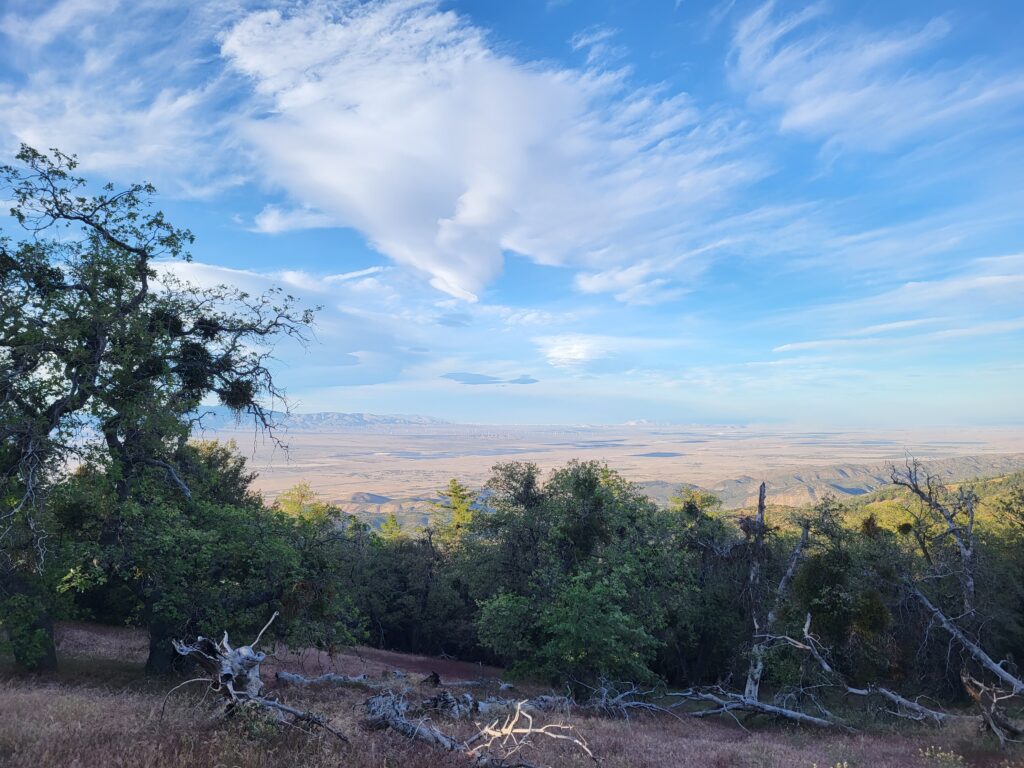 PCT day 35 · PCT class 2022 – fotka 10