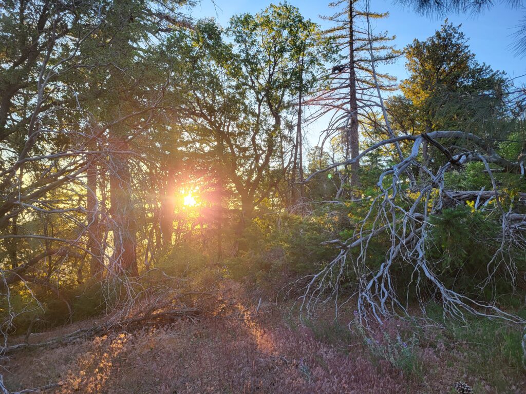 PCT day 36 · PCT class 2022 – fotka 1