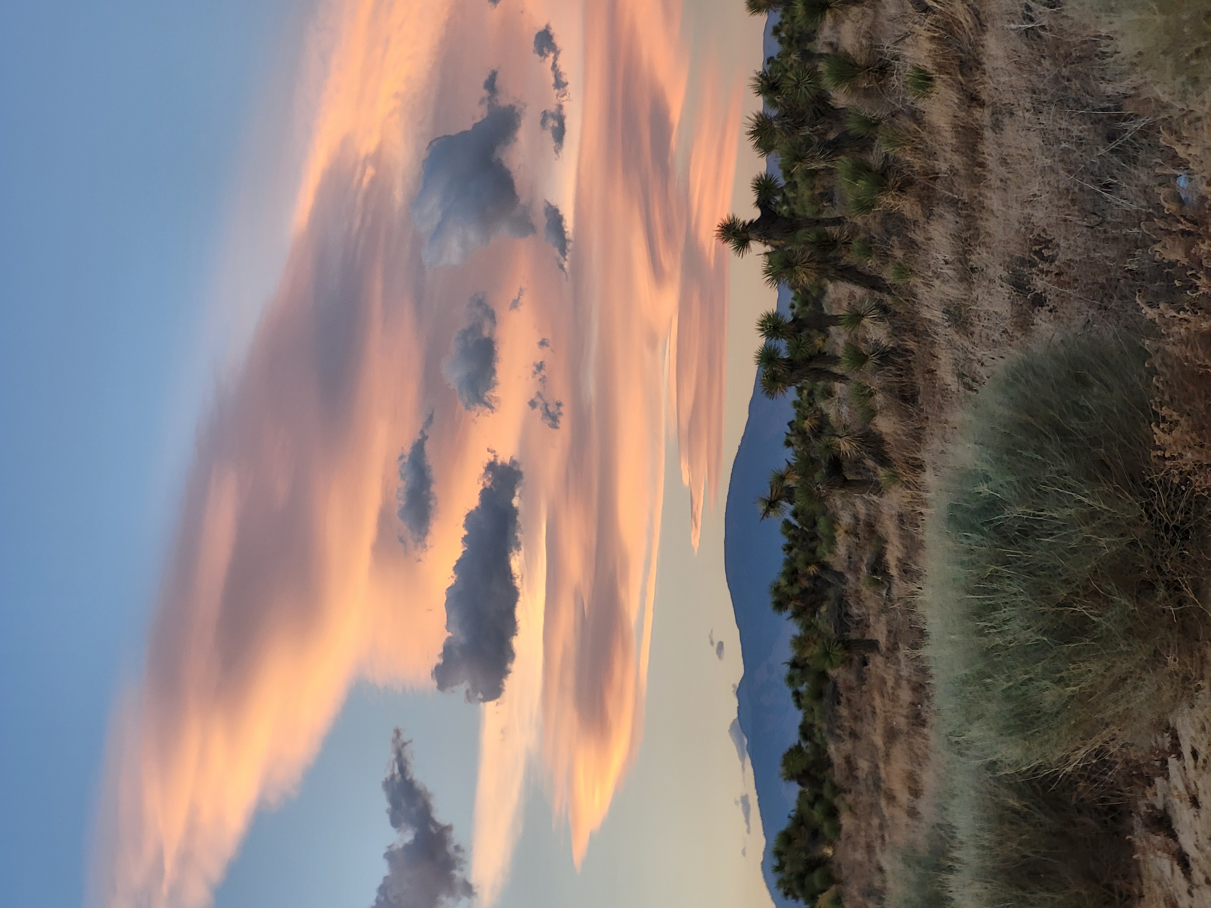 PCT day 36 · PCT class 2022 – fotka 7