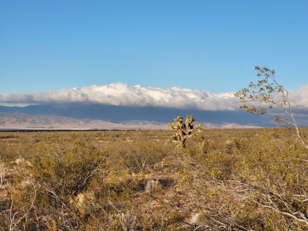 PCT day 37 · PCT class 2022 – fotka 3