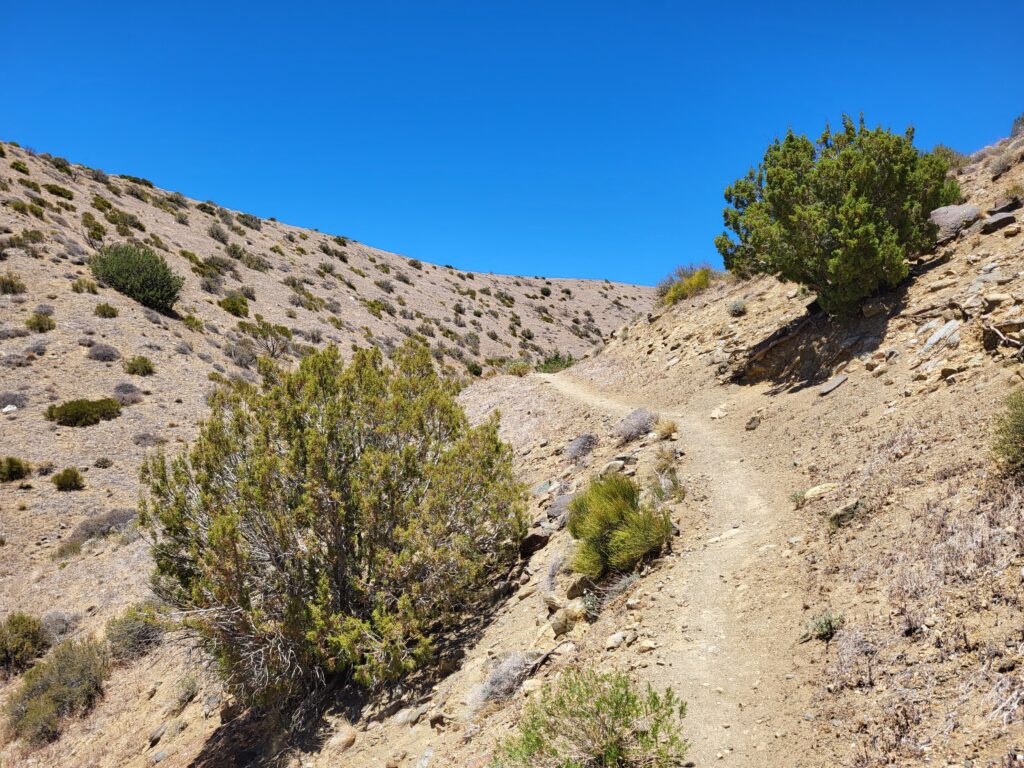 PCT day 37 · PCT class 2022 – fotka 7