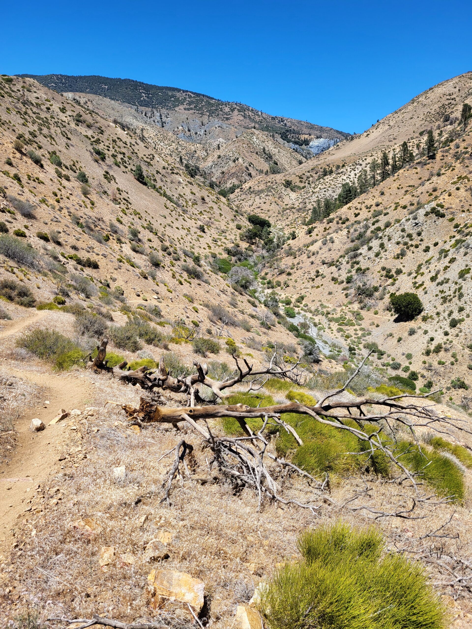 PCT day 37 · PCT class 2022 – fotka 8