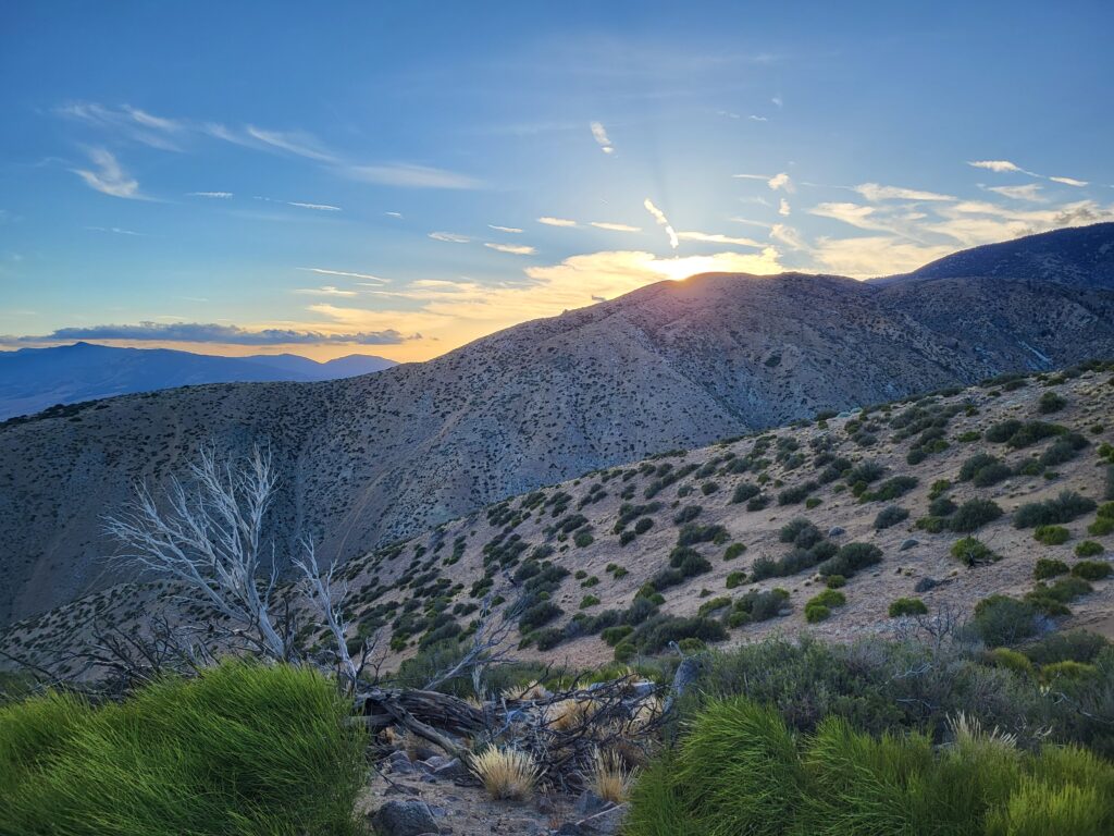 PCT day 37 · PCT class 2022 – fotka 9