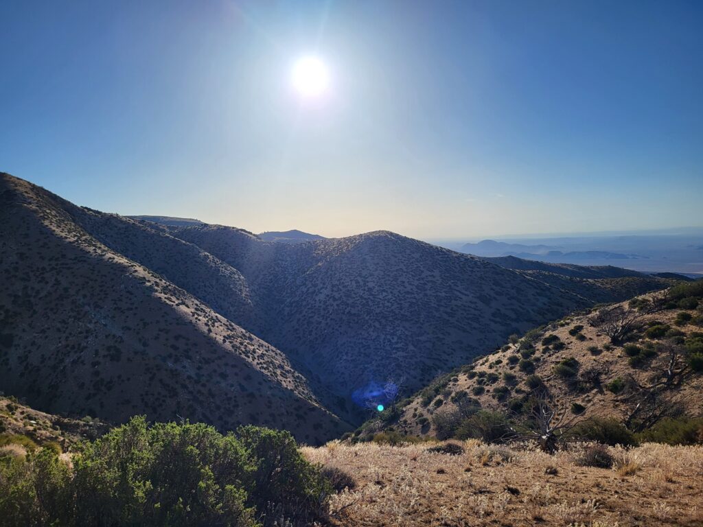 PCT day 38 · PCT class 2022 – fotka 1