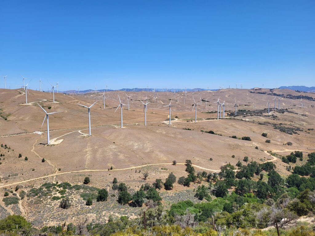 PCT day 38 · PCT class 2022 – fotka 2