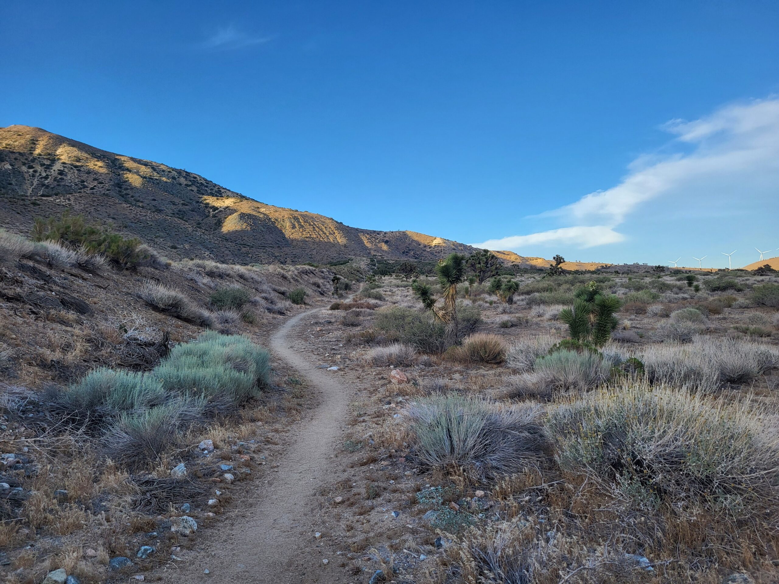 PCT day 40 · PCT class 2022 – fotka 5