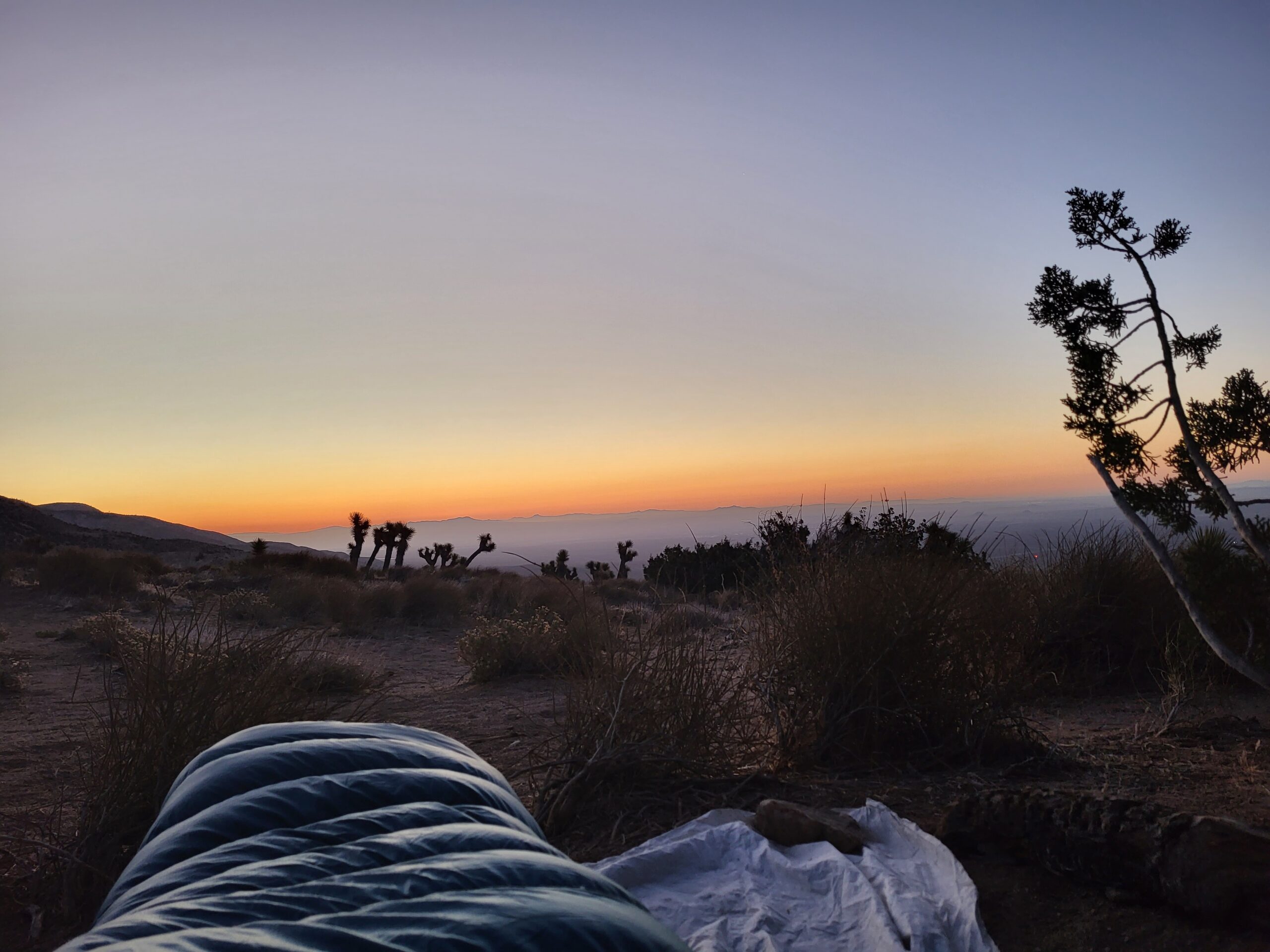 PCT day 41 · PCT class 2022 – fotka 1