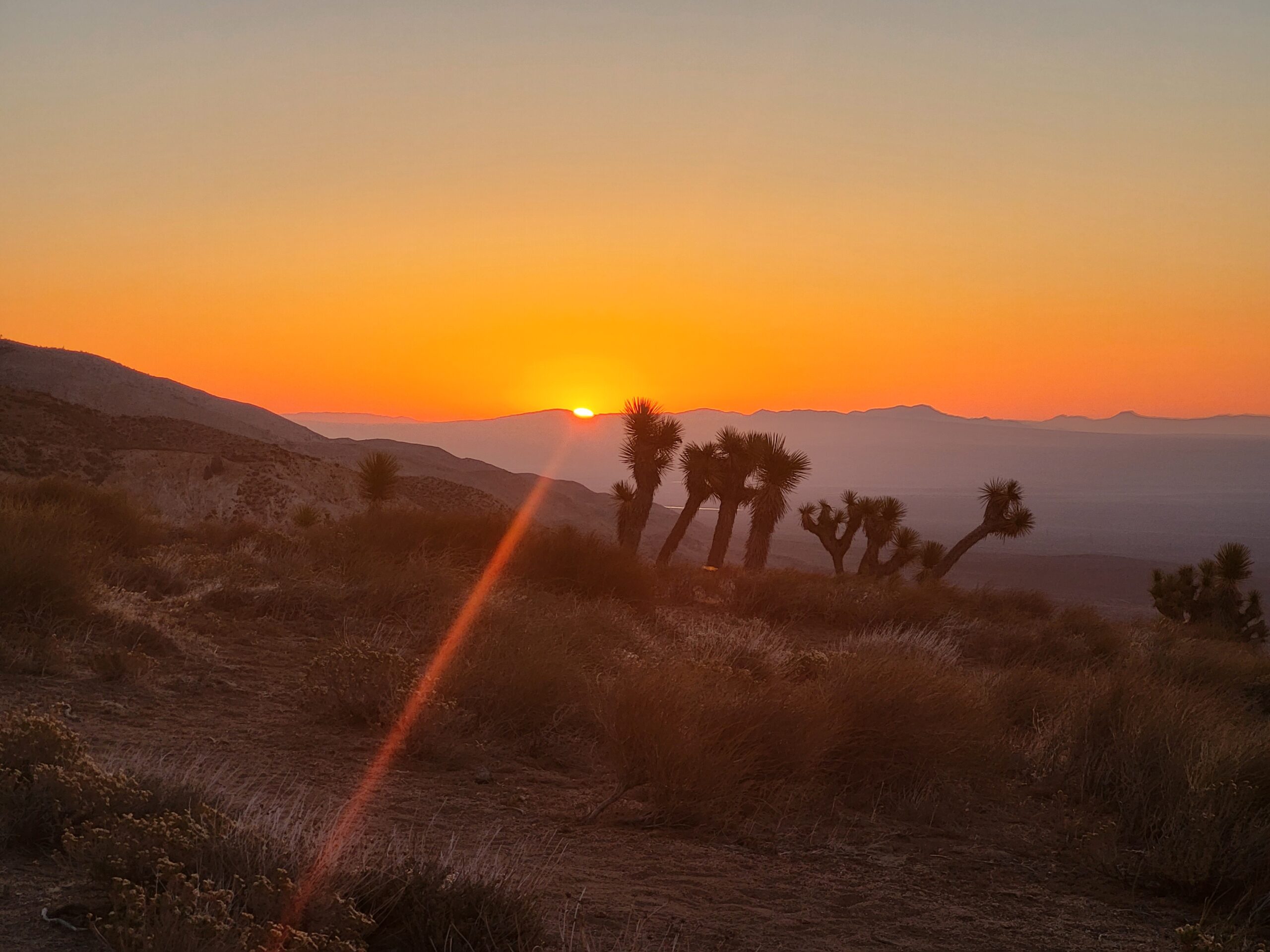 PCT day 41 · PCT class 2022 – fotka 2