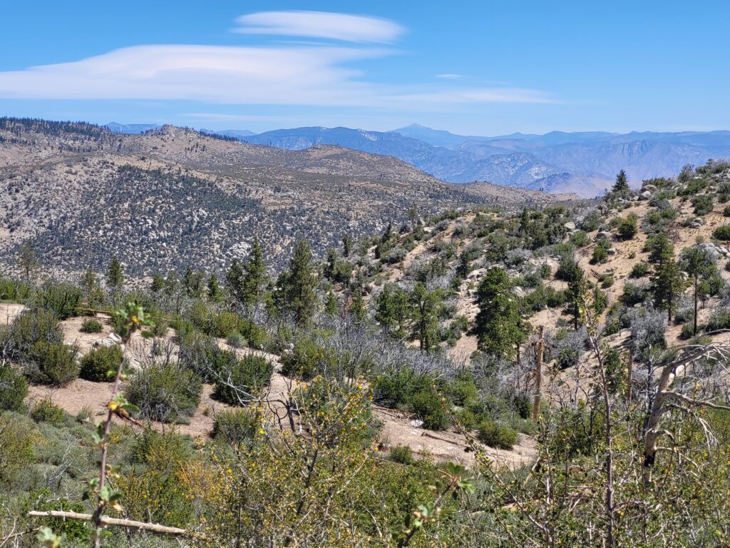 PCT day 43 · PCT class 2022 – fotka 3