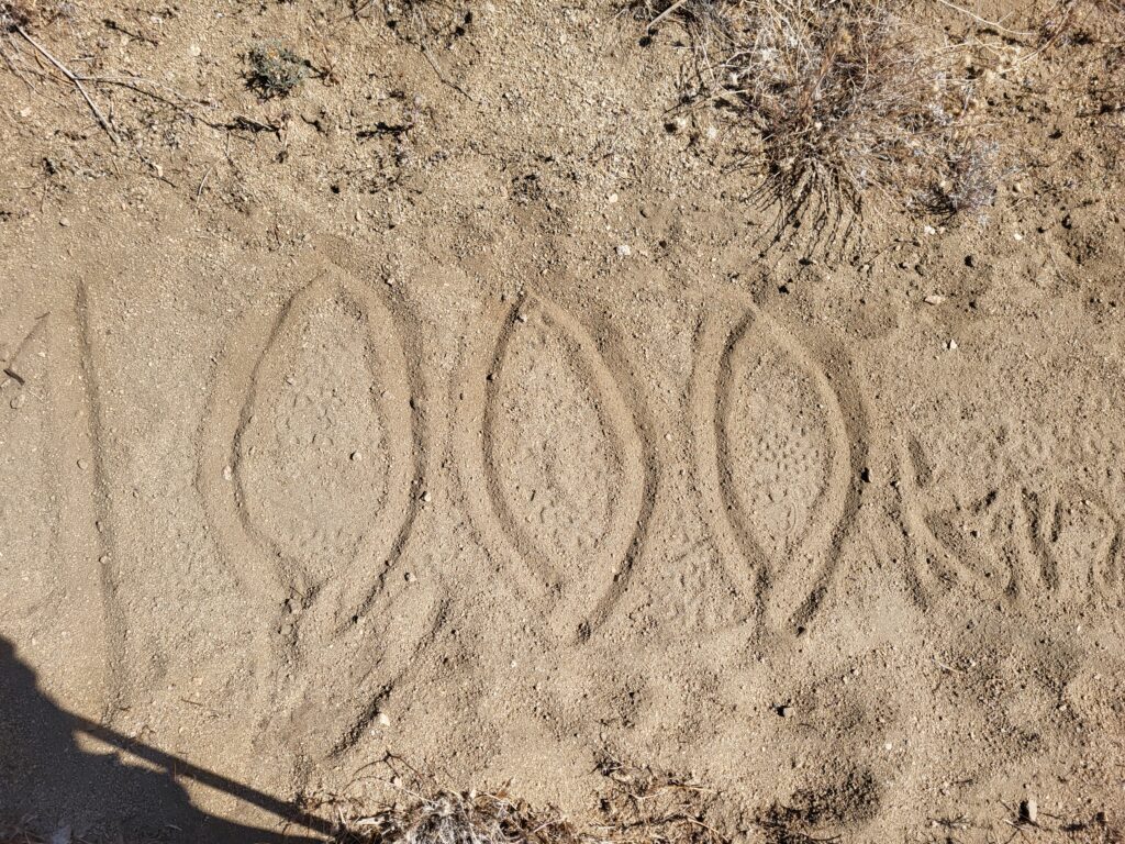PCT day 44 · PCT class 2022 – fotka 1