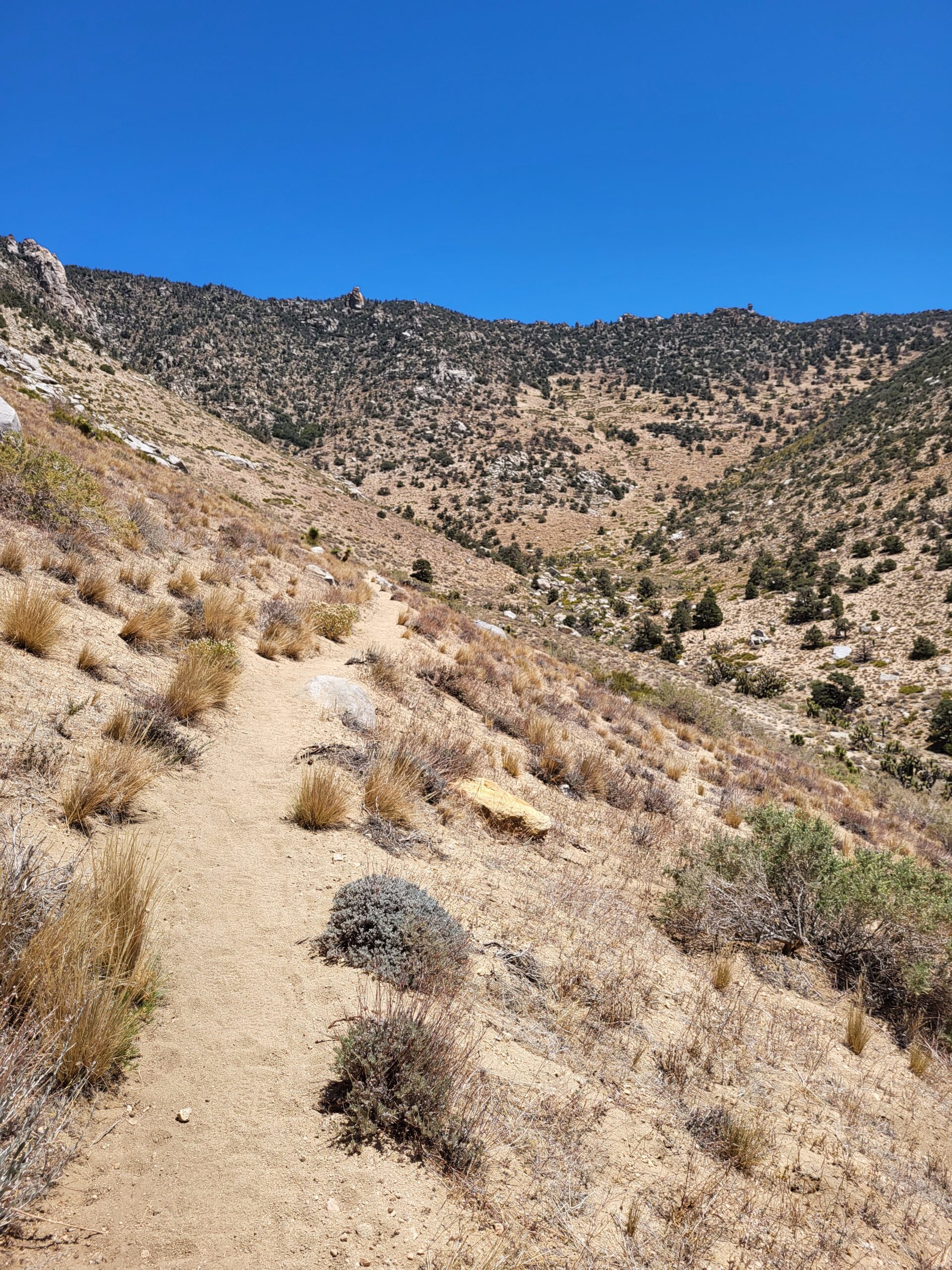 PCT day 44 · PCT class 2022 – fotka 3