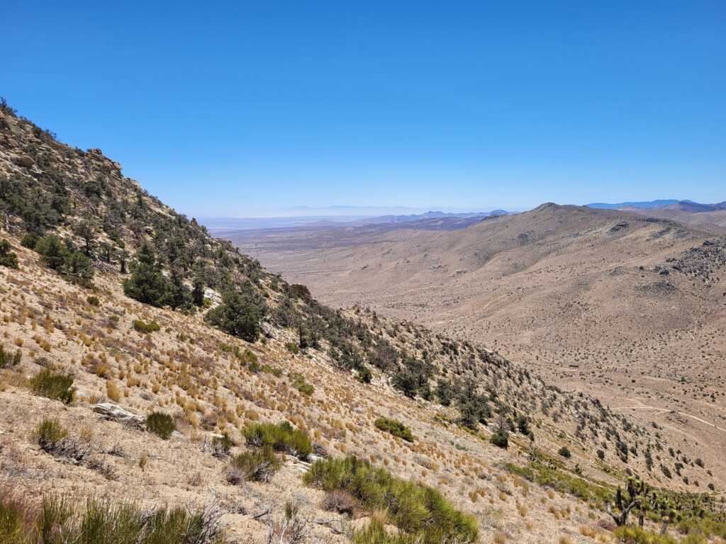 PCT day 44 · PCT class 2022 – fotka 4