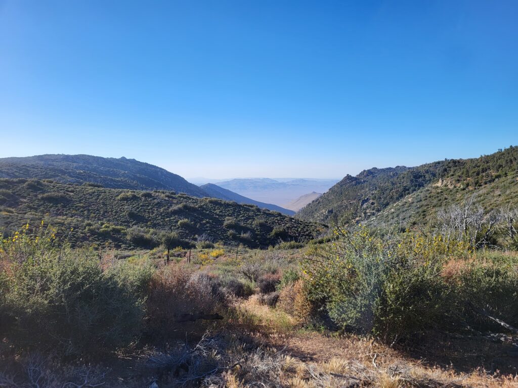 PCT day 45 · PCT class 2022 – fotka 1