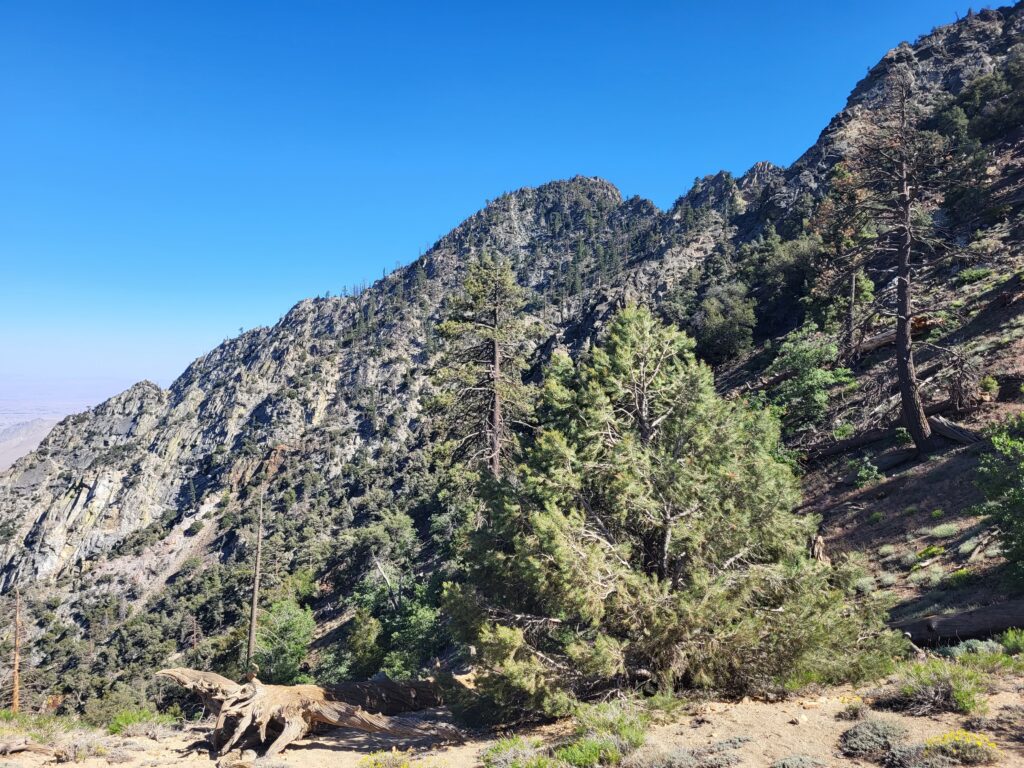PCT day 46 · PCT class 2022 – fotka 2