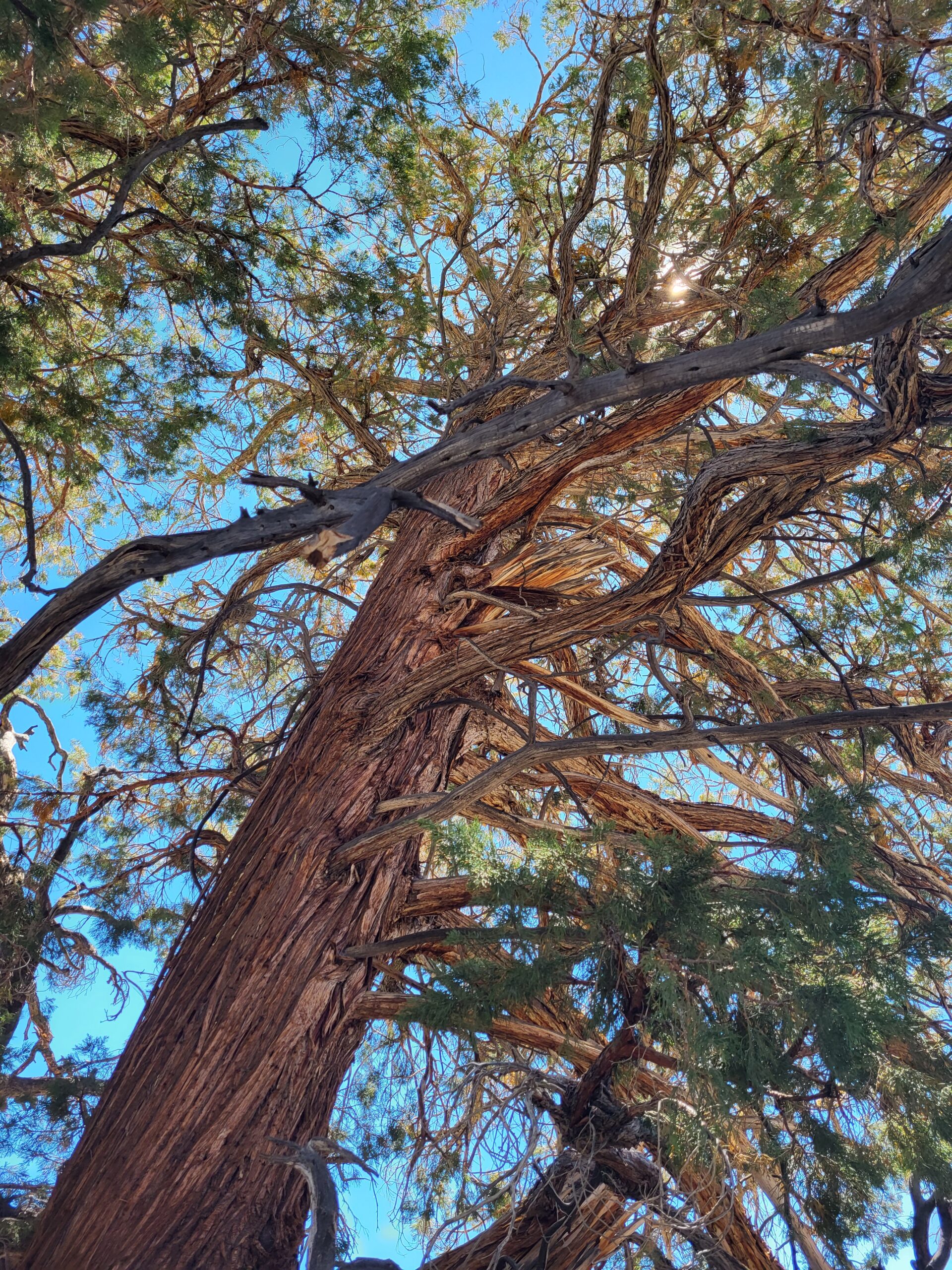 PCT day 46 · PCT class 2022 – fotka 3