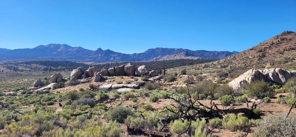 PCT day 47 · PCT class 2022 – fotka 2