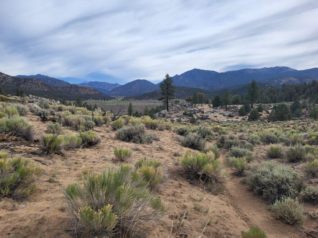 PCT day 48 · PCT class 2022 – fotka 3