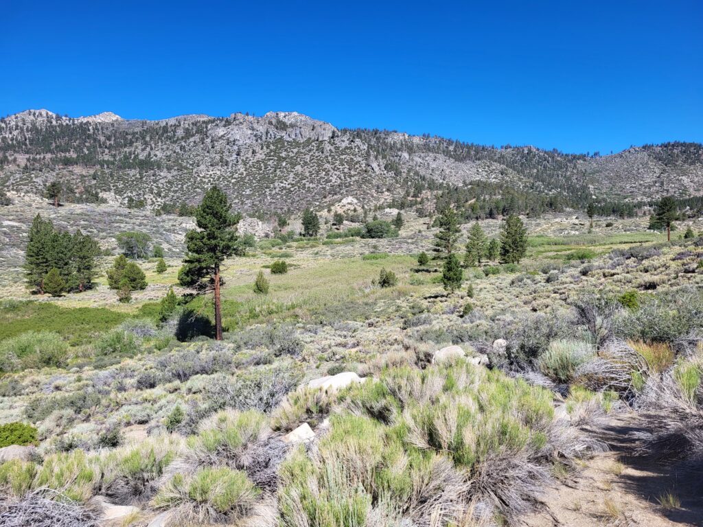 PCT day 50 · PCT class 2022 – fotka 2