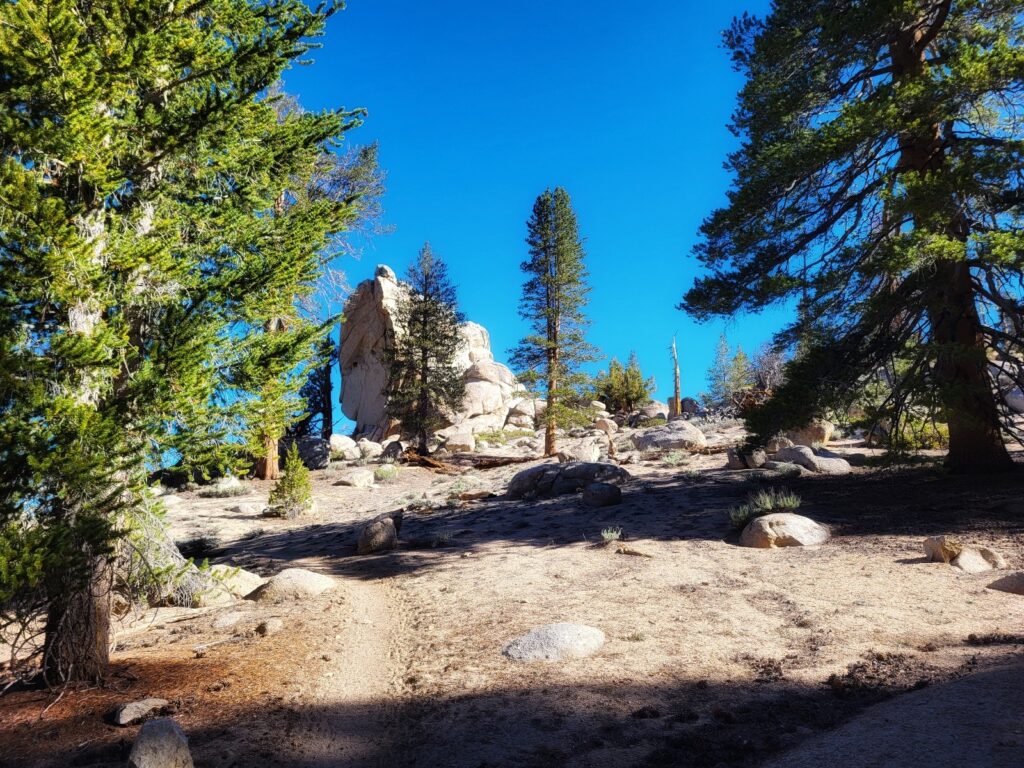 PCT day 51 · PCT class 2022 – fotka 1