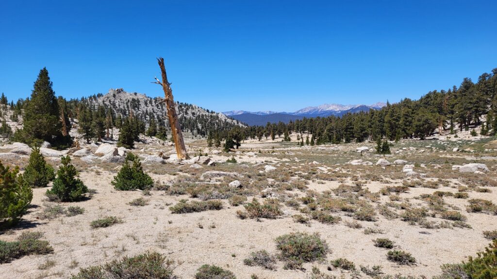 PCT day 52 · PCT class 2022 – fotka 1