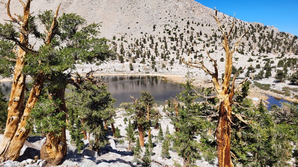PCT day 52 · PCT class 2022 – fotka 3