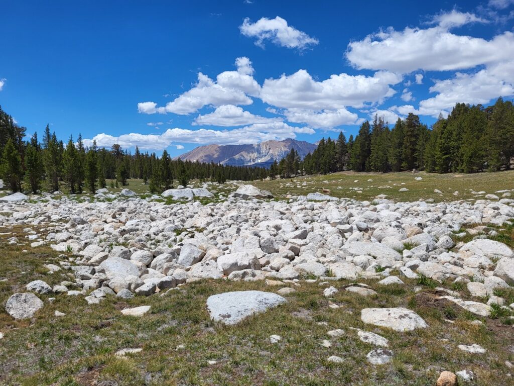 PCT day 55 · PCT class 2022 – fotka 1