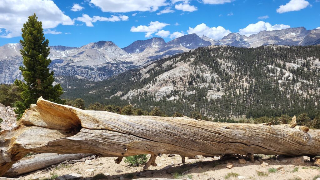 PCT day 55 · PCT class 2022 – fotka 3