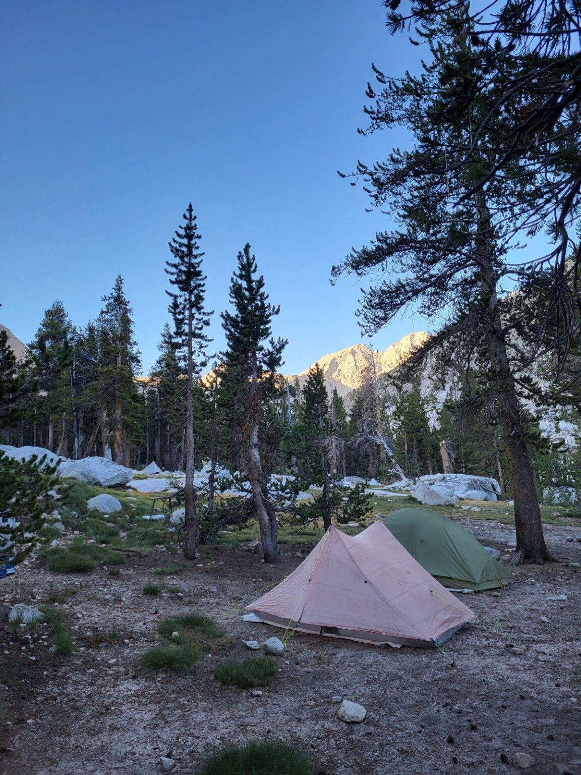 PCT day 55 · PCT class 2022 – fotka 12
