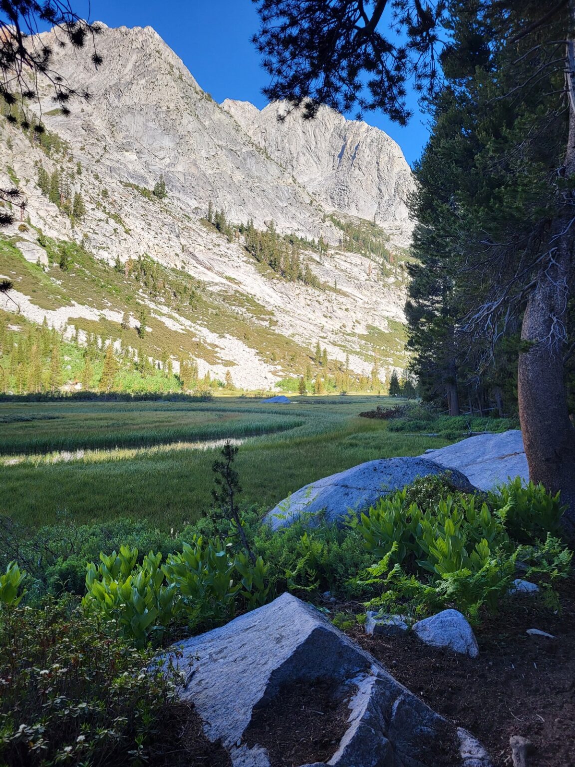 PCT day 61 · PCT class 2022 – fotka 2