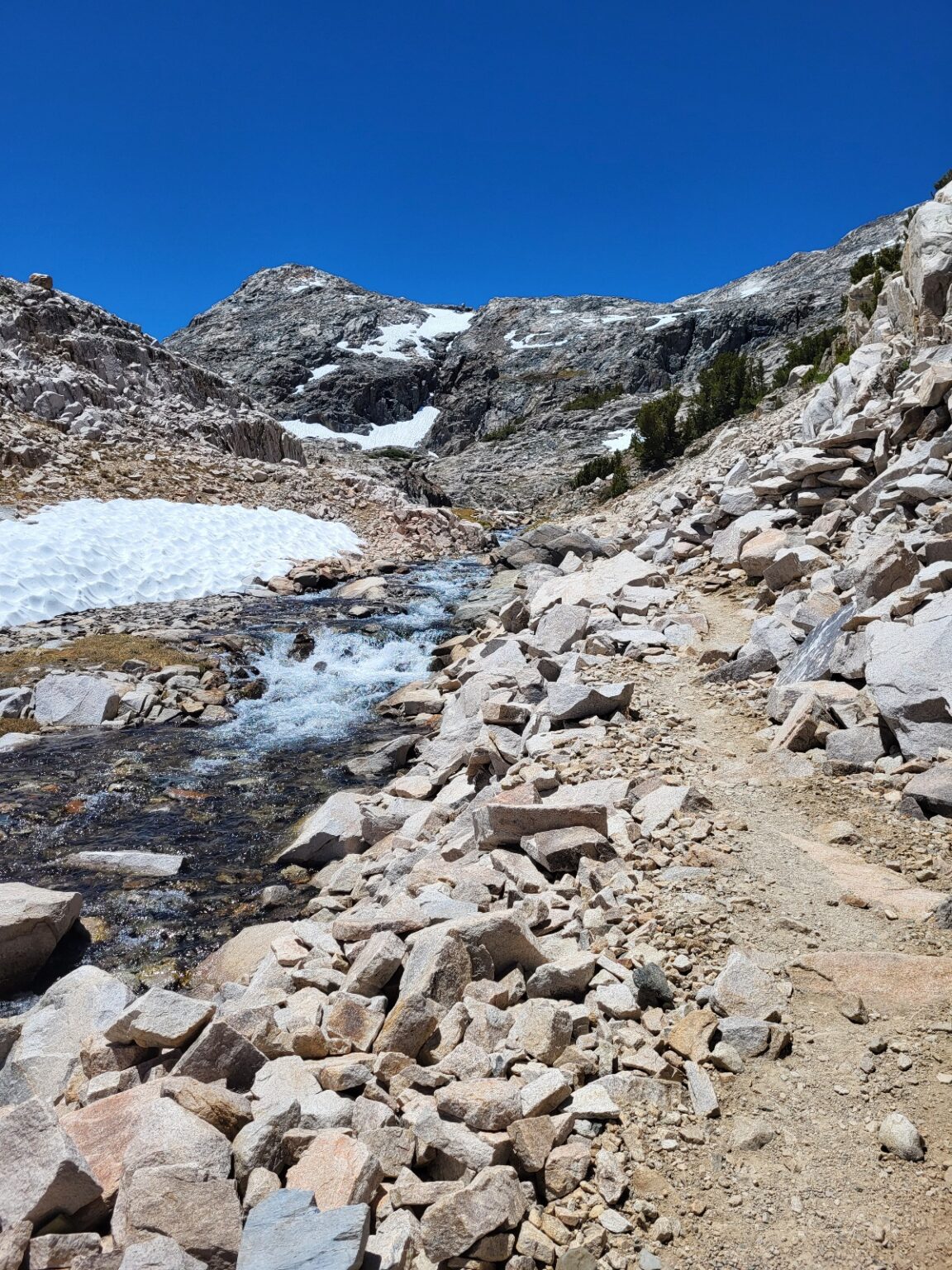 PCT day 61 · PCT class 2022 – fotka 4