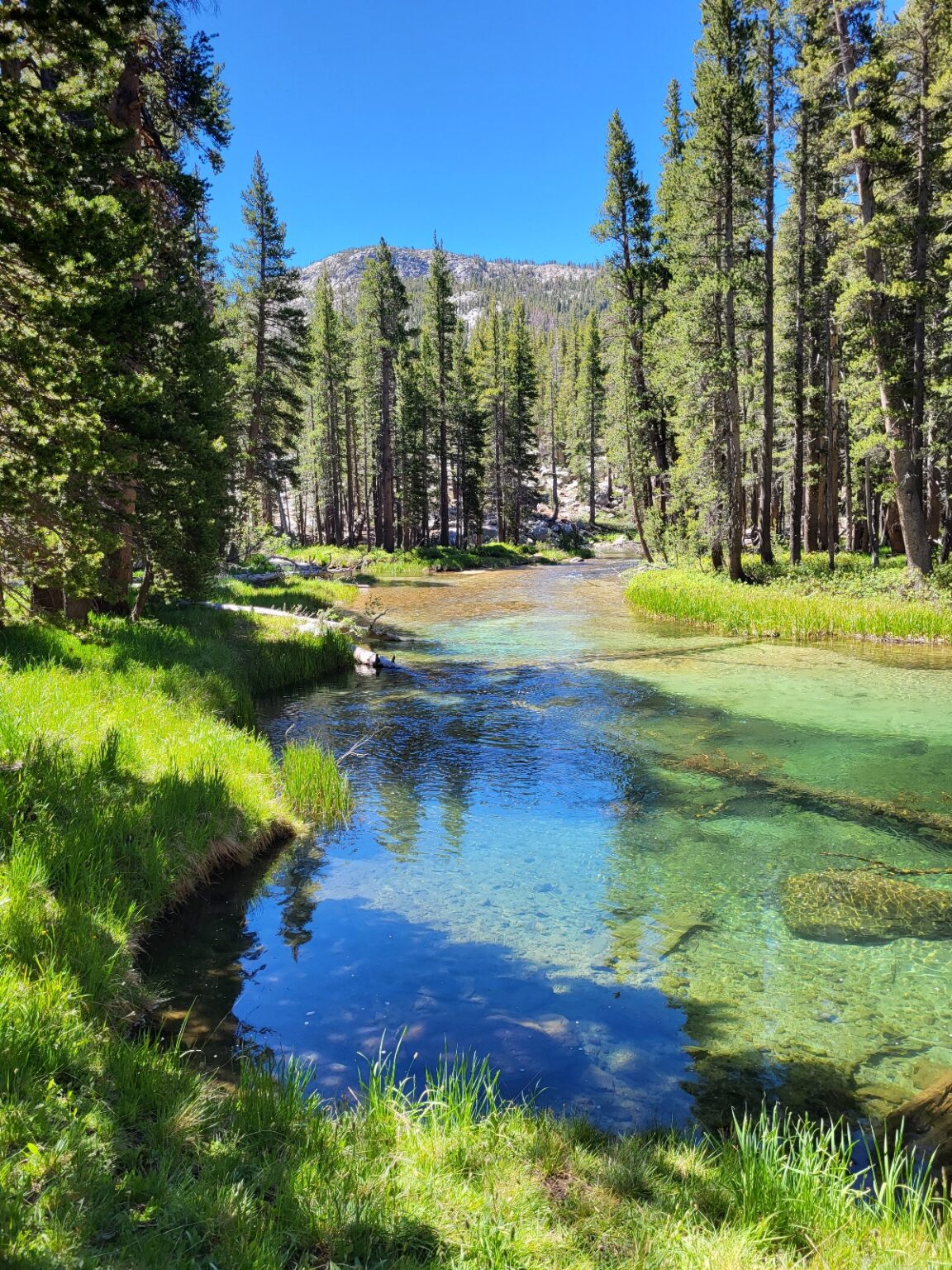 PCT day 62 · PCT class 2022 – fotka 1