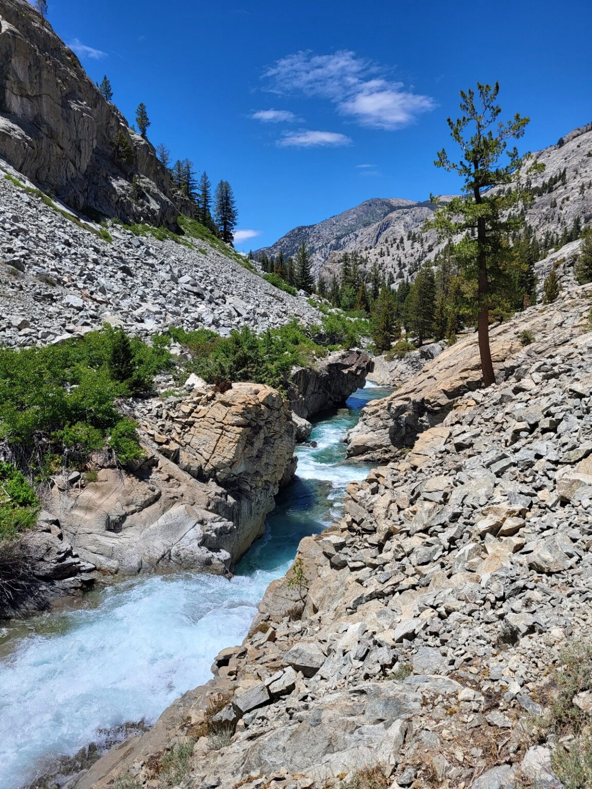 PCT day 62 · PCT class 2022 – fotka 2