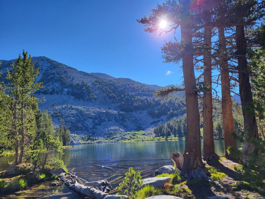 PCT day 63 · PCT class 2022 – fotka 1