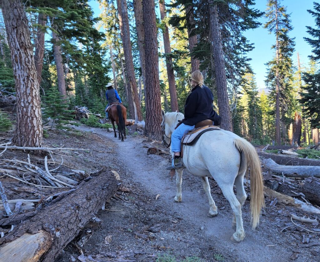 PCT day 65 · PCT class 2022 – fotka 1