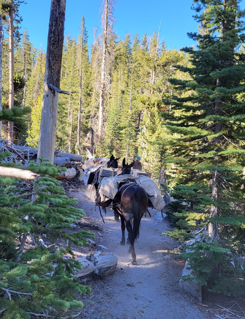 PCT day 68 · PCT class 2022 – fotka 1