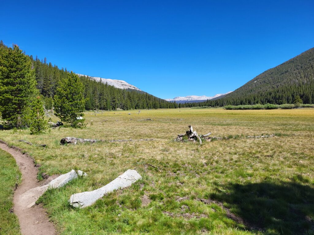 PCT day 69 · PCT class 2022 – fotka 3