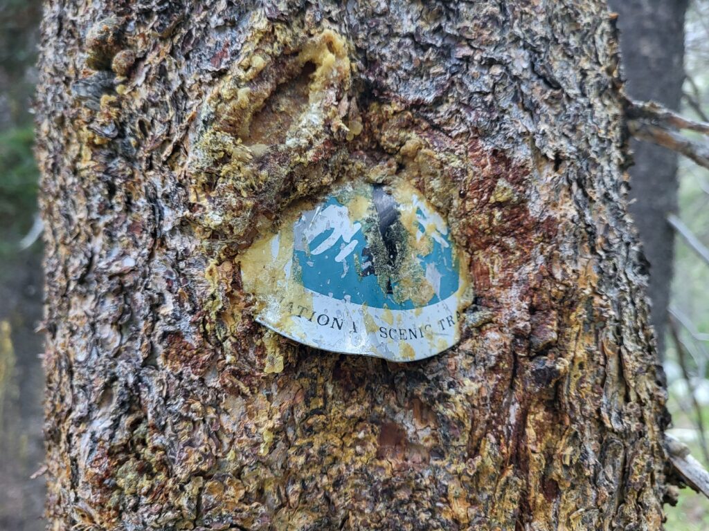 PCT day 70 · PCT class 2022 – fotka 5