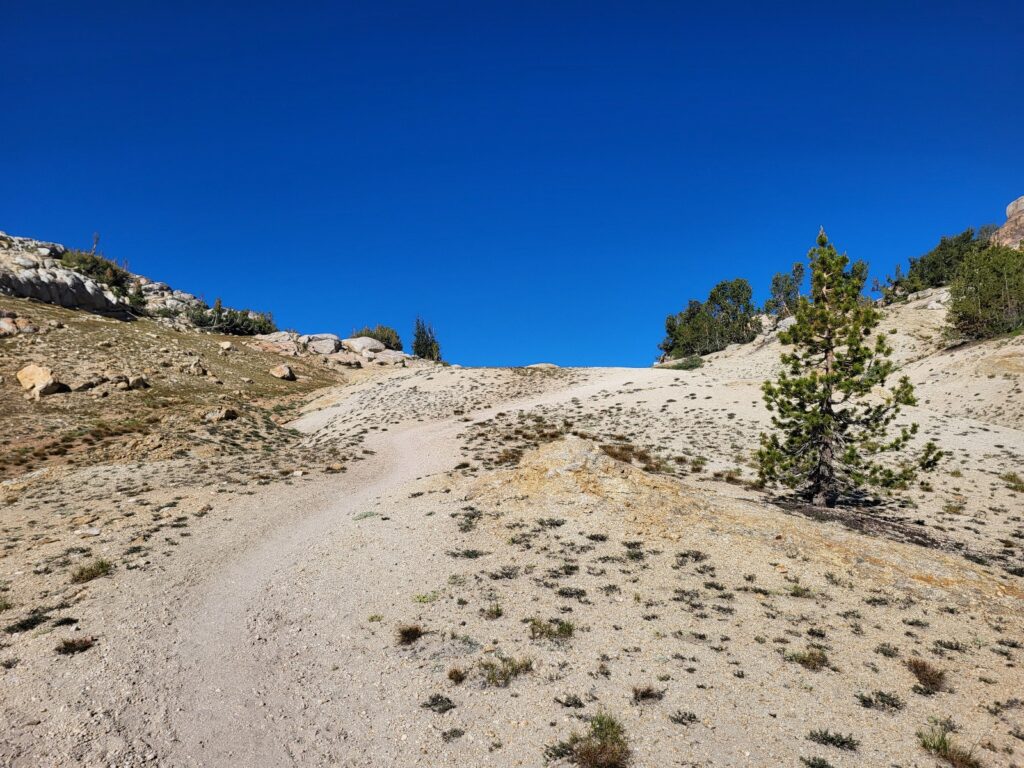PCT day 71 · PCT class 2022 – fotka 1