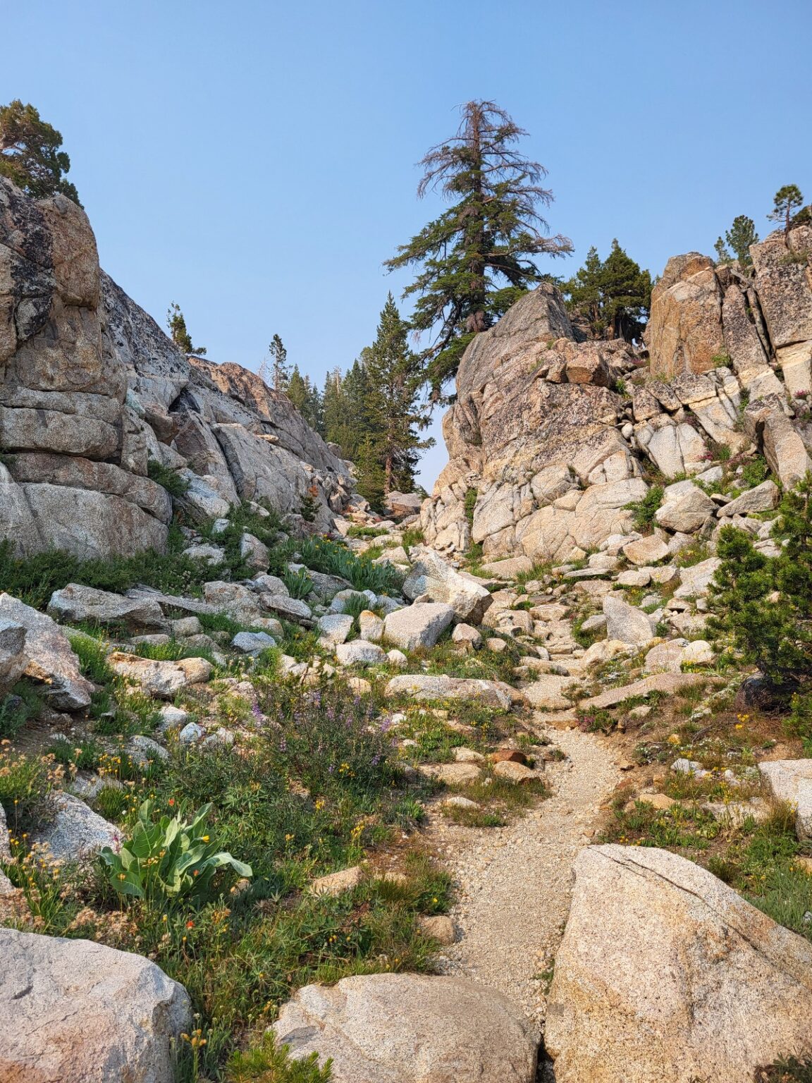 PCT day 71 · PCT class 2022 – fotka 5