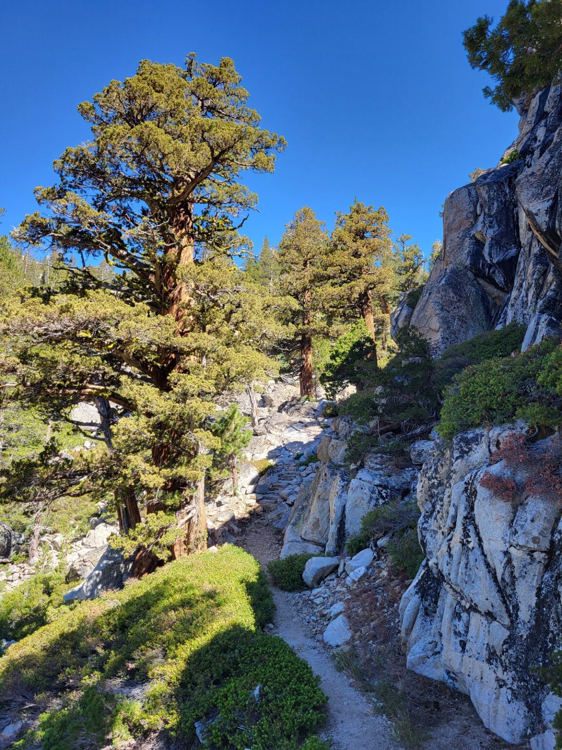 PCT day 72 · PCT class 2022 – fotka 1