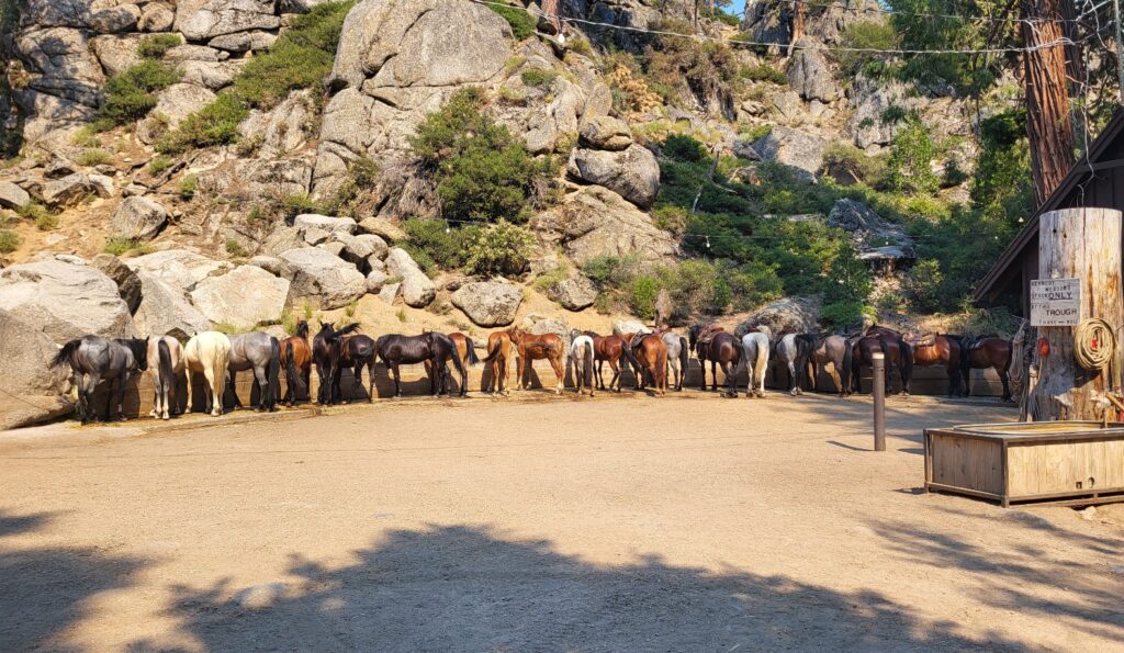 PCT day 74 · PCT class 2022 – fotka 1
