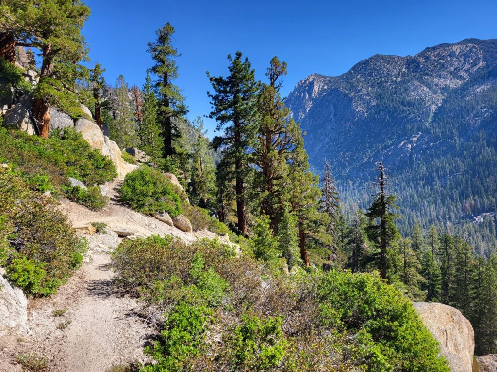 PCT day 75 · PCT class 2022 – fotka 2