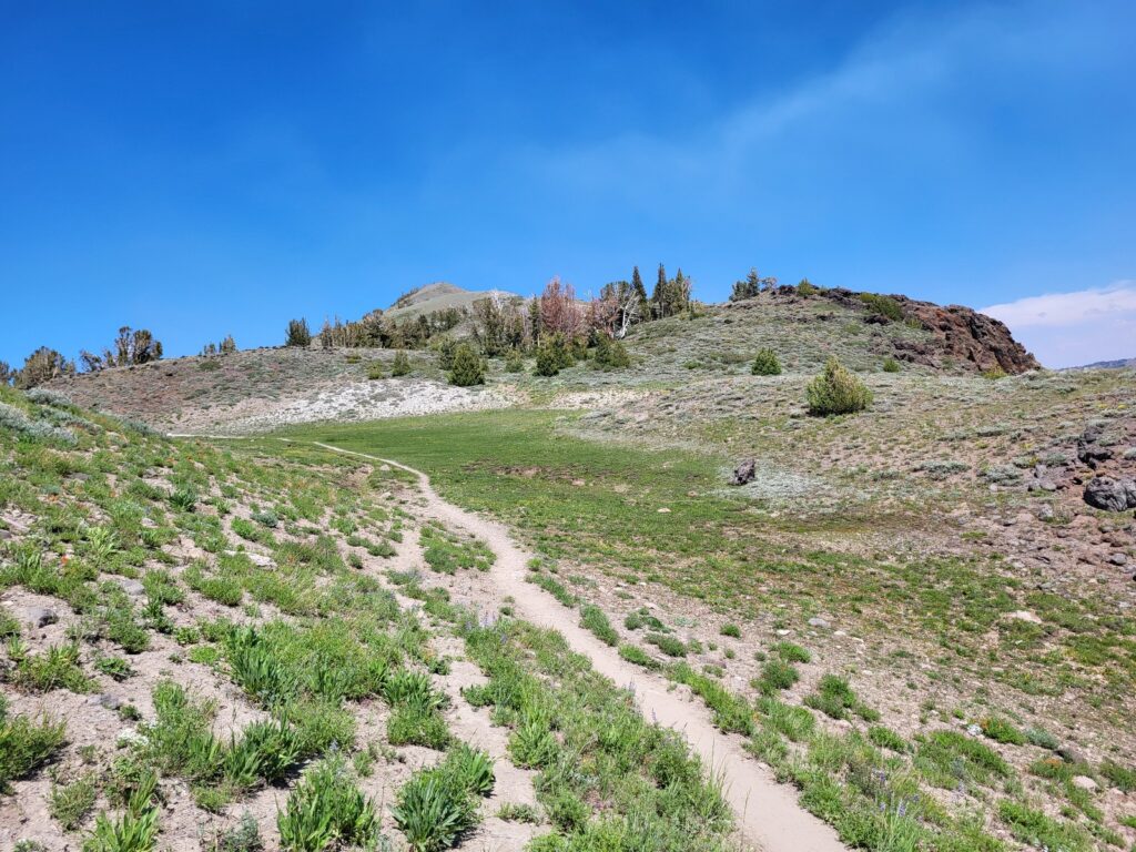 PCT day 75 · PCT class 2022 – fotka 3