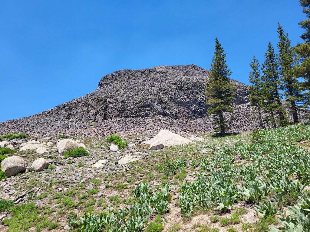 PCT day 75 · PCT class 2022 – fotka 1