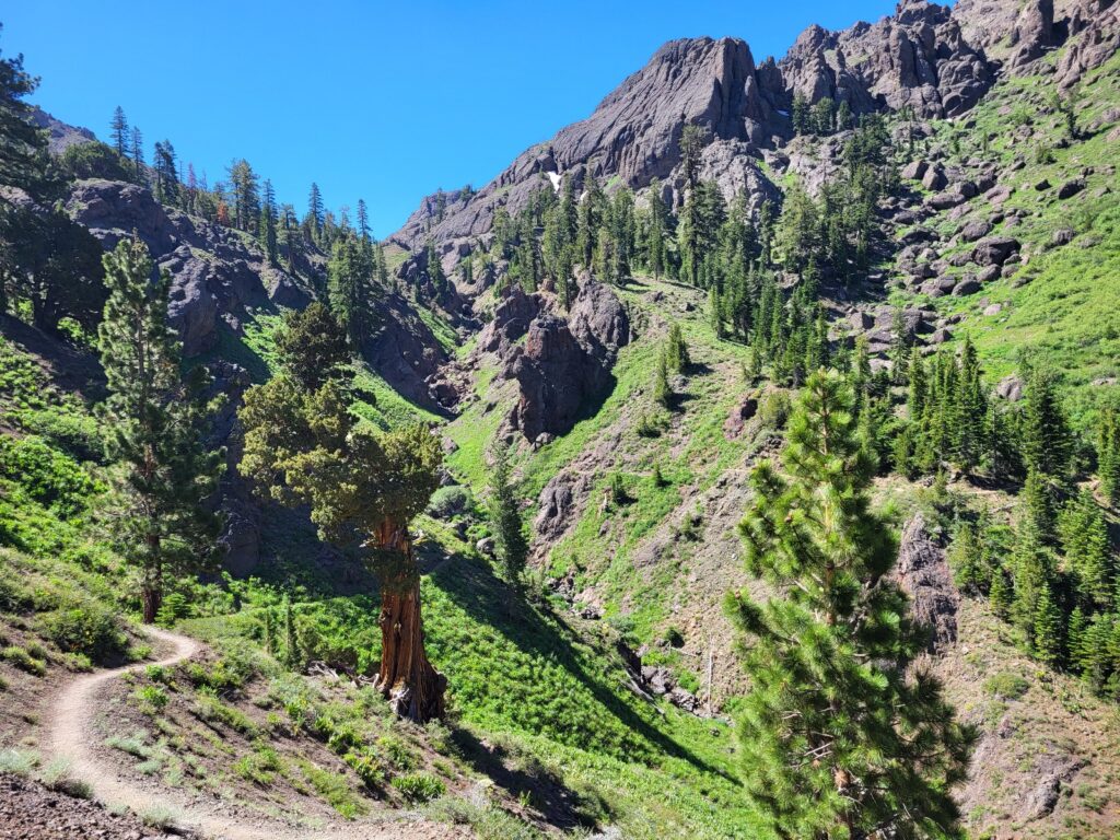 PCT day 76 · PCT class 2022 – fotka 1