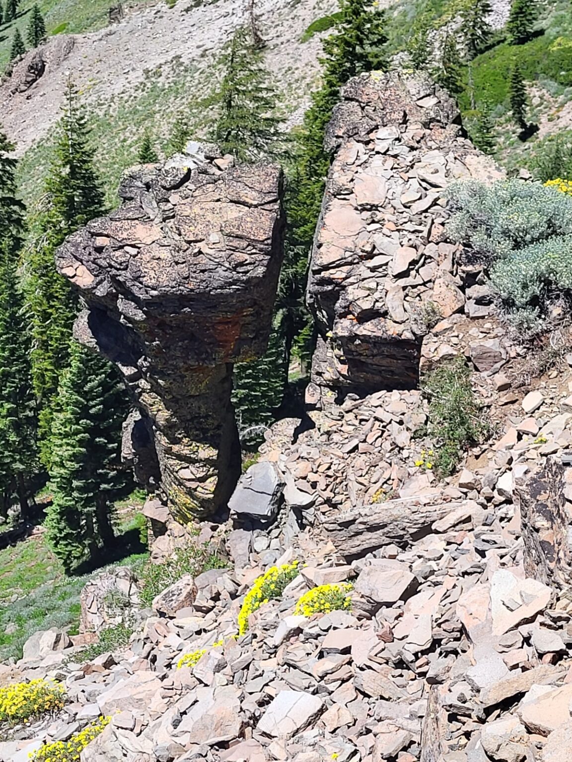 PCT day 82 · PCT class 2022 – fotka 3