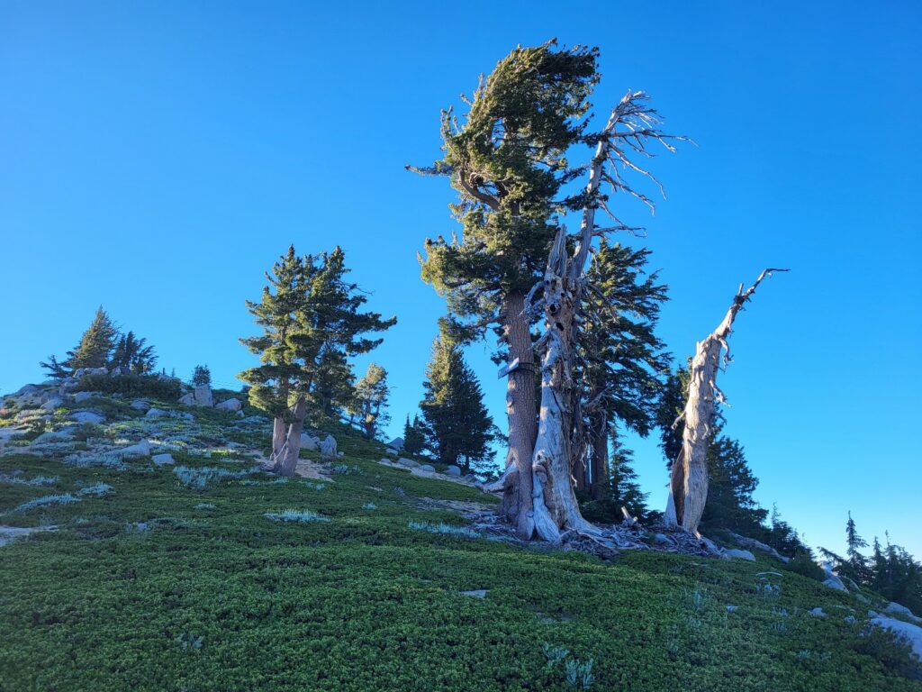 PCT day 82 · PCT class 2022 – fotka 4