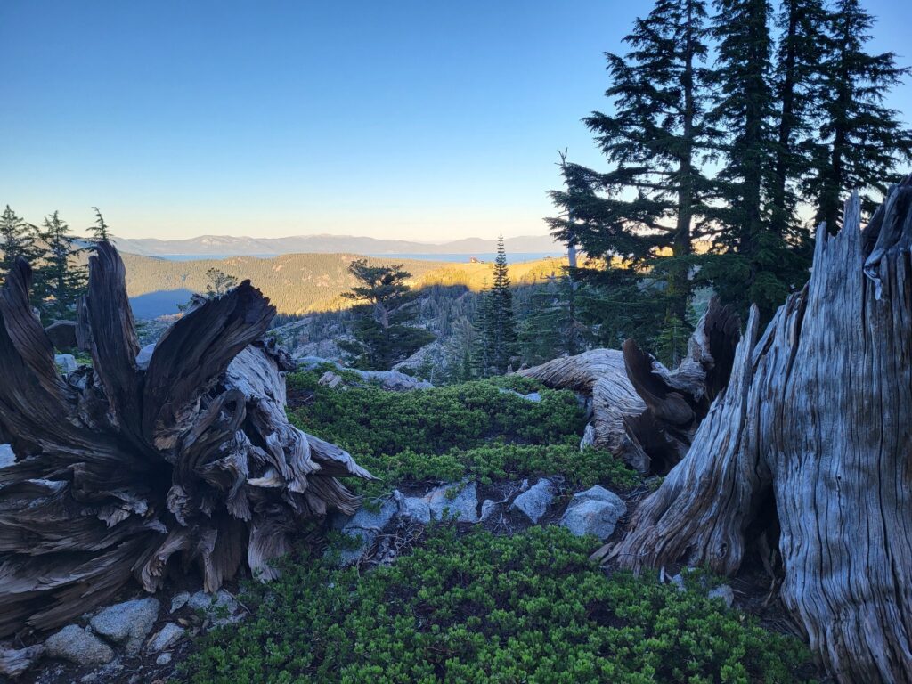 PCT day 82 · PCT class 2022 – fotka 5