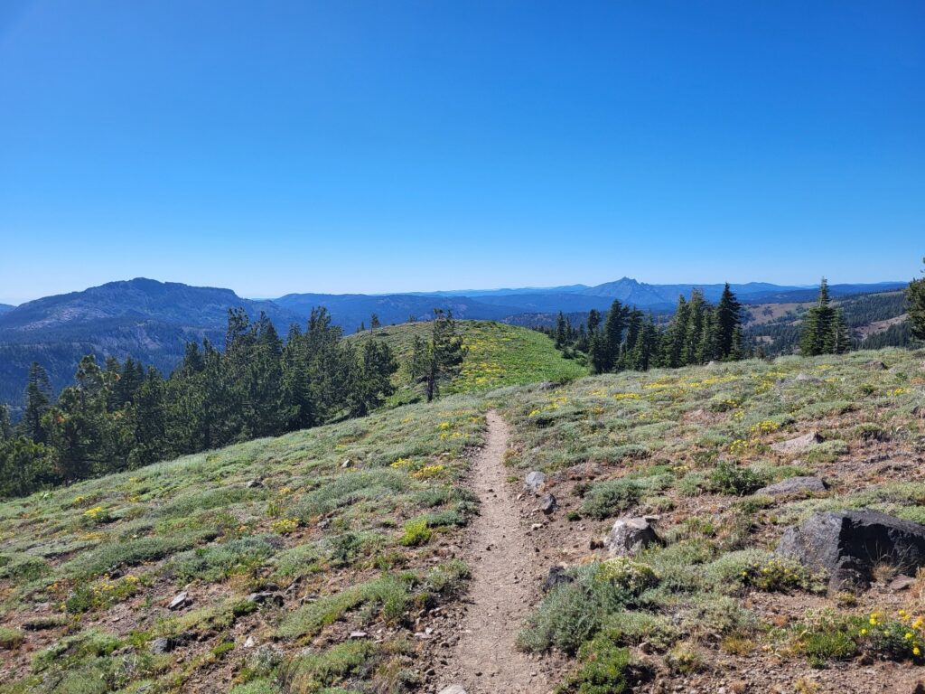 PCT day 84 · PCT class 2022 – fotka 3