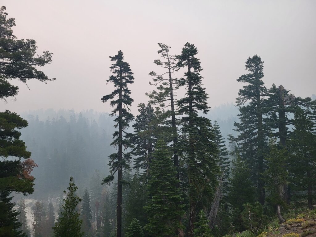 PCT day 85 · PCT class 2022 – fotka 1